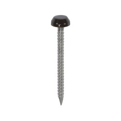 30 x 2.1 Polymer Headed Pins - A4 Stainless Steel - Mahogany