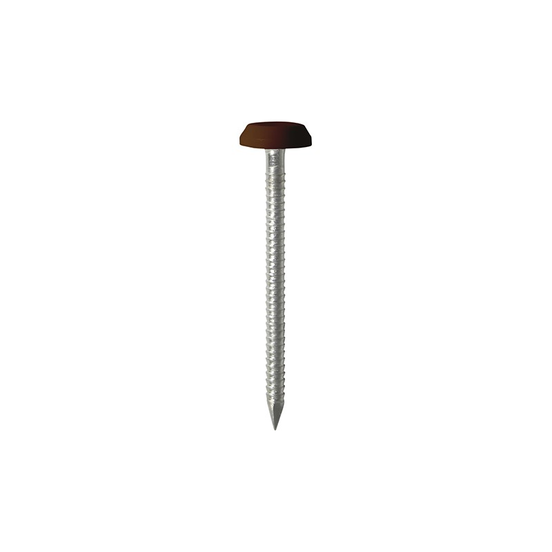 65 X 3.2 Polymer Headed Nails - A4 Stainless Steel - Mahogany